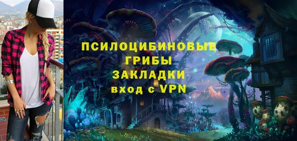 прущая мука Верея